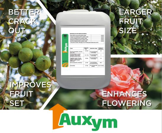 Auxym product pack