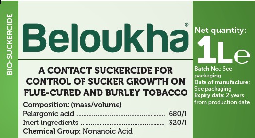 Beloukha product pack