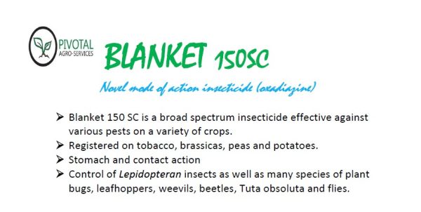Blanket 150 SC product pack
