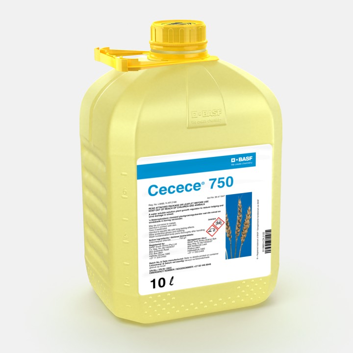CeCeCe 75 product pack