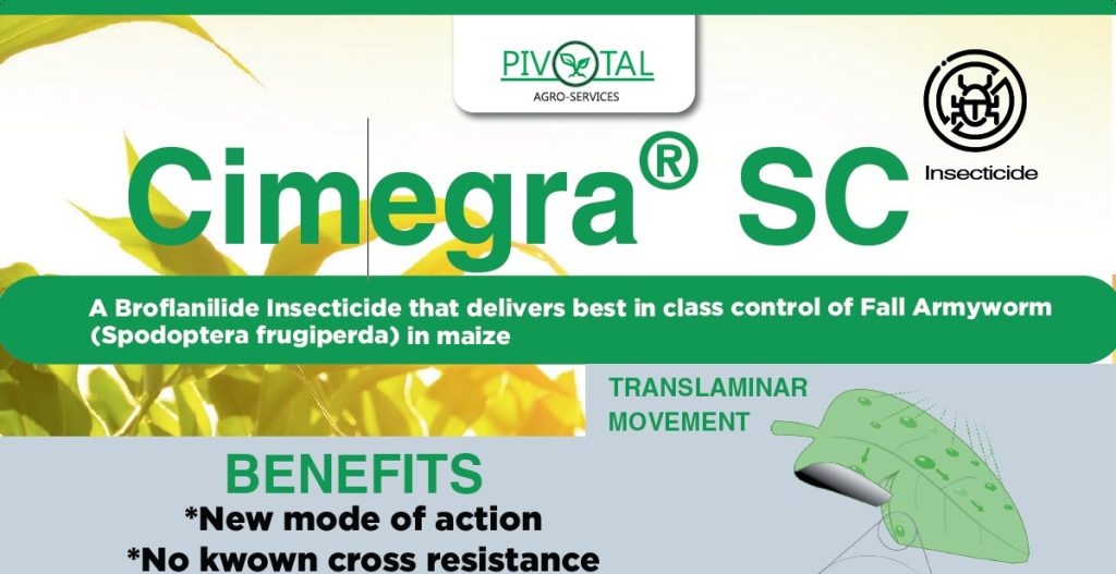 Cimegra product pack