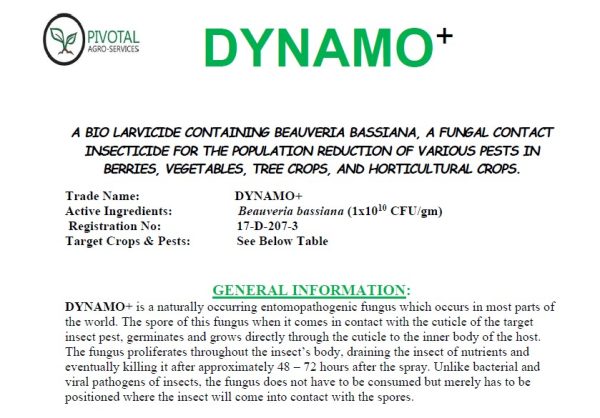 Dynamo product pack