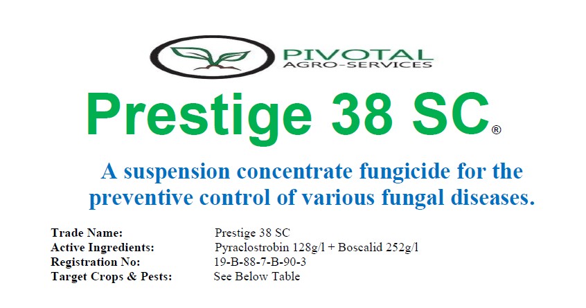 Prestige 38 SC product pack