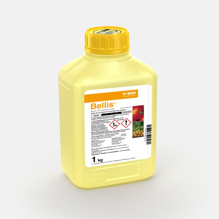 Bellis product pack
