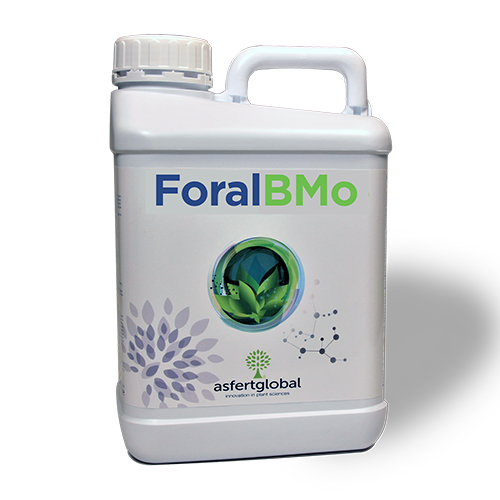 Foral BMo product pack